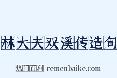 林大夫双溪传造句是什么意思的图片